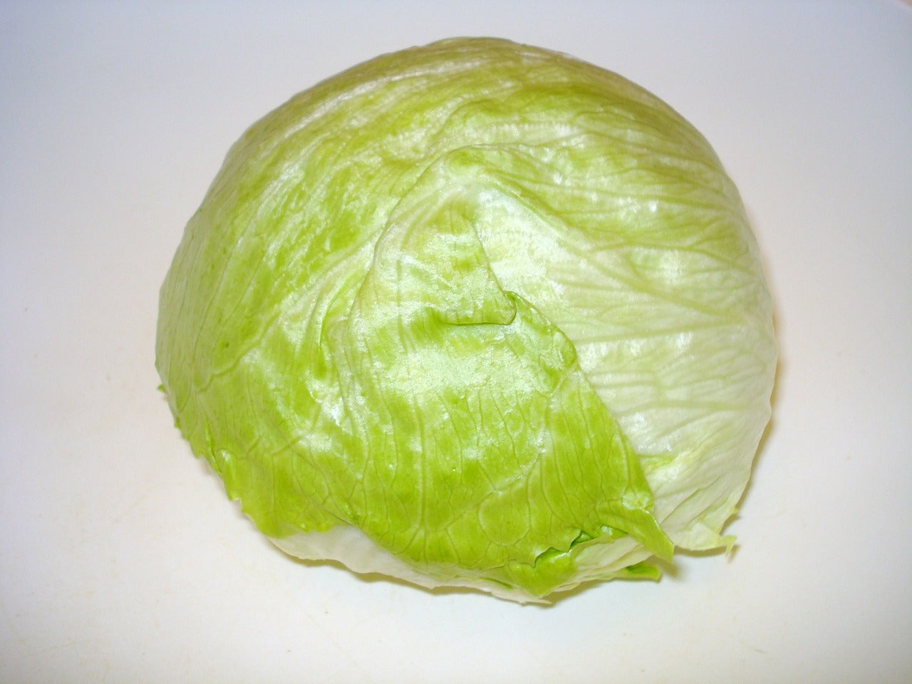 Lettuce Iceberg