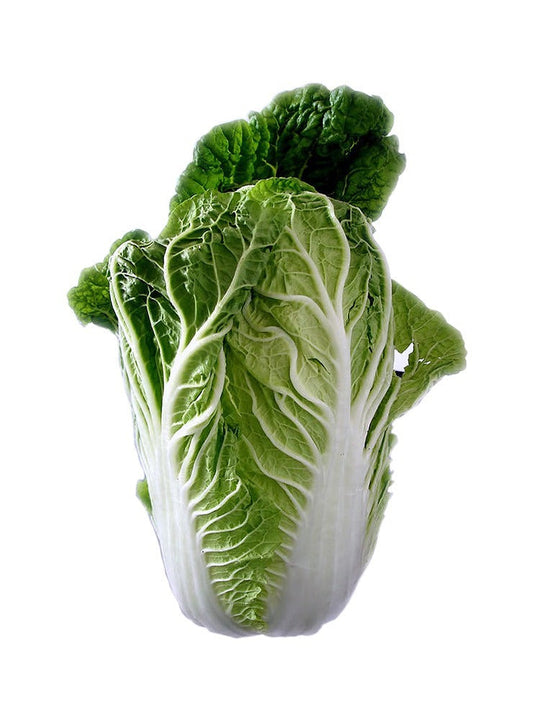 Cabbage Chinese Leaf