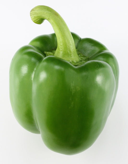 Capsicum Green