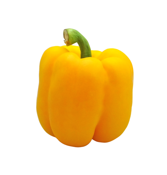 Capsicum Yellow