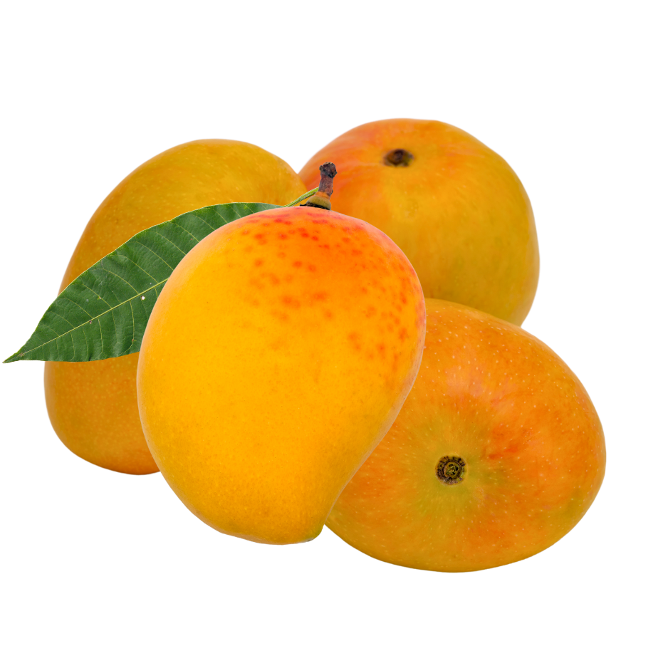 Alphonso Mango 12pcs