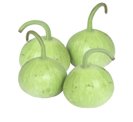 Dudhi Round x 1 approx 200g